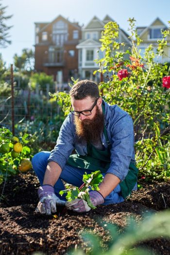 Are you looking for a way to make gardening easier? Try out these awesome gardening hacks. They'll make your life so much easier. 