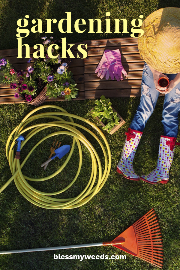 Do you feel dumb when it come to gardening? Trust me, you are not alone. We at Bless My Weeds want to help you feel more confident so we have created a list of genius gardening hacks for dummies. Go from feeling dumb to a green thumb in no time flat. #gardenigfordummies #gardeninghacks