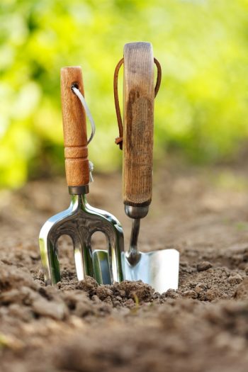 In order to have a successful garden, you must first know the soil layers. This will ensure your soil is as healthy as it can be. 