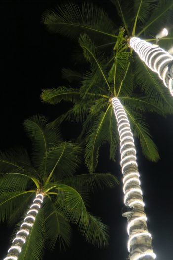 One way to increase the ambience of your outdoor living spaces at night is by illuminating them with rope lighting. Get ready to be illuminated with these rope lighting ideas! Try adding them to your trees. You'll be amazed at how beautiful they look. 