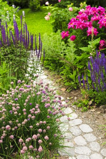 If you have a garden, but not a rock pathway, it's time to fix that right now. Today I have rock pathway ideas to inspire any gardener to make a beautiful garden just that much better. A rock pathway makes a statement that bids the beholder to follow, to more fully enjoy the garden and take time to smell the roses. See how you can add a rock pathway to your garden. 