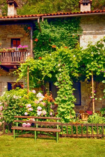 There's no denying the charm of a cottage flower garden. Did you know you can extend that charm all the way through to your front porch? I love giving a porch the look of a cottage flower garden, and you can too. Adding flower boxes goes a long way in adding charm to your porch! 