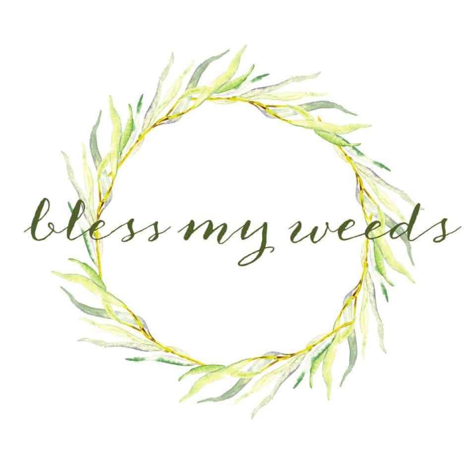 10 Foundation Covering Ideas You Can Live With ~ Bless My Weeds