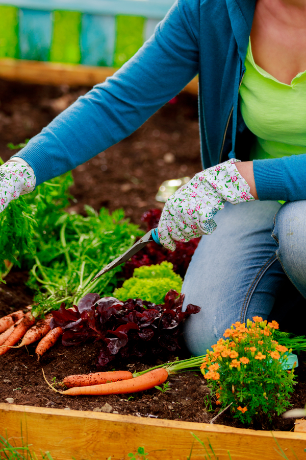 Organic gardening. Прополка грядок. Органическое земледелие.