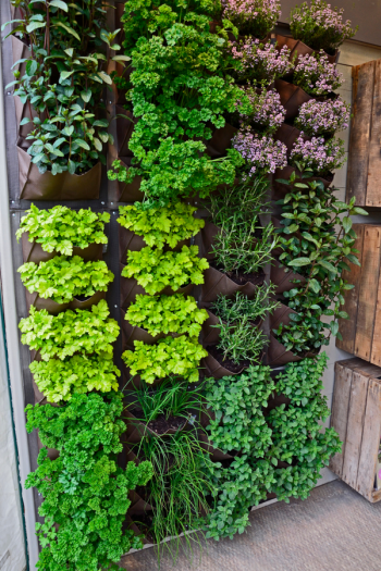 There's never a bad time to plant an herb garden, because there are so many ways to do it. I've got herb gardening ideas to help you feel more confident. Take a look! 