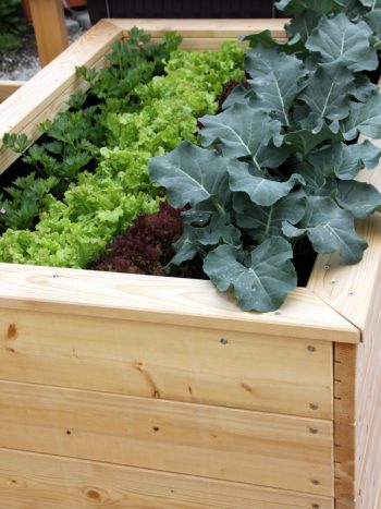 DIY Raised Garden Beds: Rise to the Challenge ~ Bless My Weeds