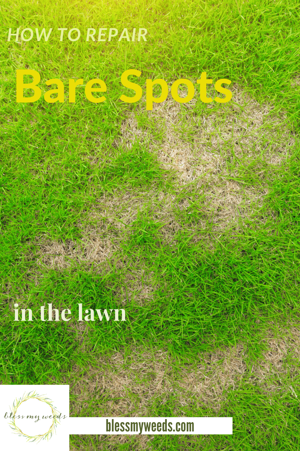 How to repair bare spots in the lawn. Know the tips to improve your lawn and stop despairing over those pesky bare spots! #blessmyweedsblog #howtorepairbarespotsinthelawn