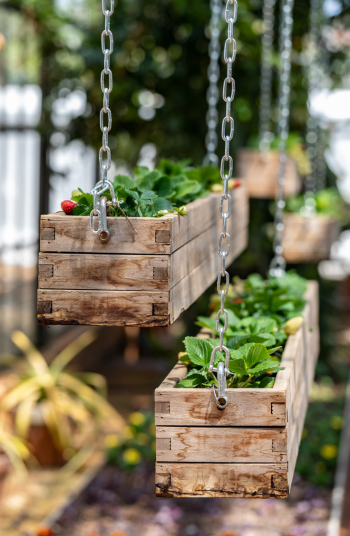 How about hanging DIY window planter boxes for indoors? These wooden planters held up by chains would look amazing in any home. 