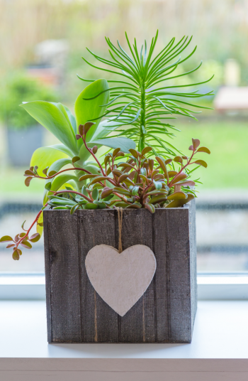 How about hanging DIY window planter boxes for indoors? This wooden box makes a perfect planter box and will look so cute in a house. 