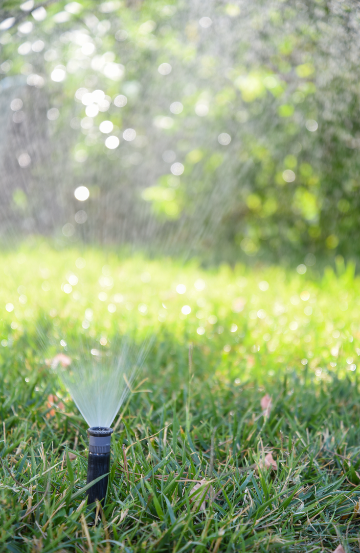 Are you wanting beautiful lawn free of bare spots? Learn how to repair bare spots in the lawn. It's easier than you think to get rid of bare spots in the lawn for good!