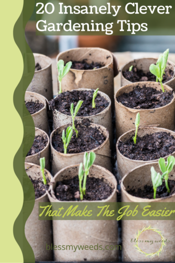 20 Insanely Clever Gardening Tips: Garden Tips - Garden - Blessmyweeds.com