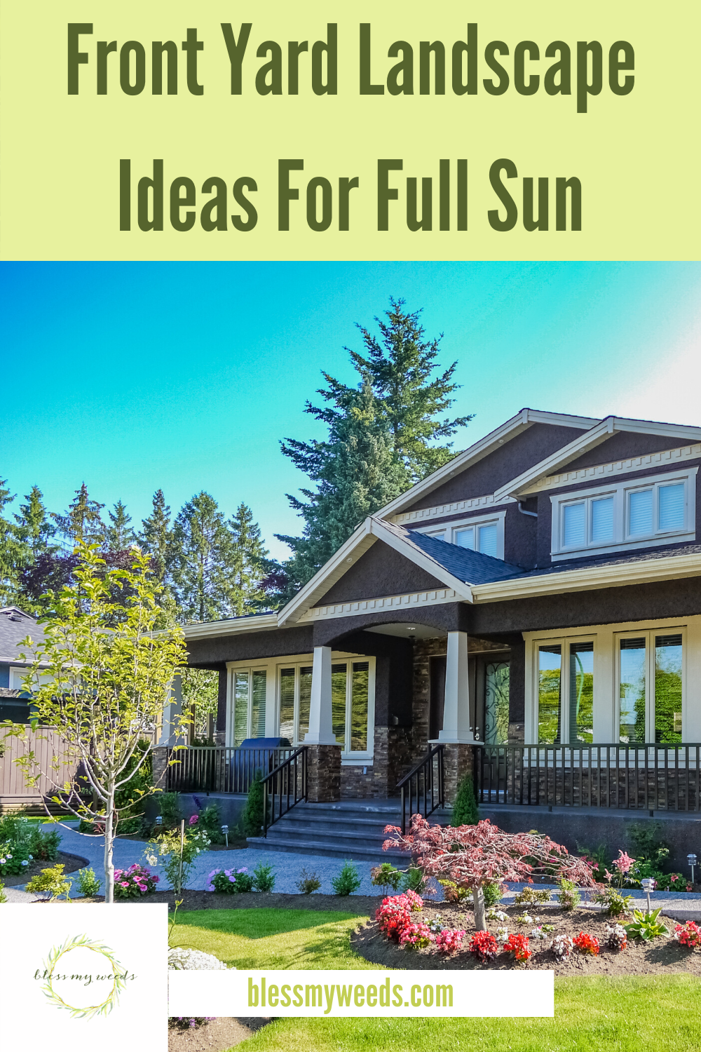 If you have a lot of sun in your yard, there are quite a few options for landscape. Read this post to learn how to make your front yard landscape look like it came from a magazine. #curbappeal #frontyardideas #landscape #blessmyweedsblog