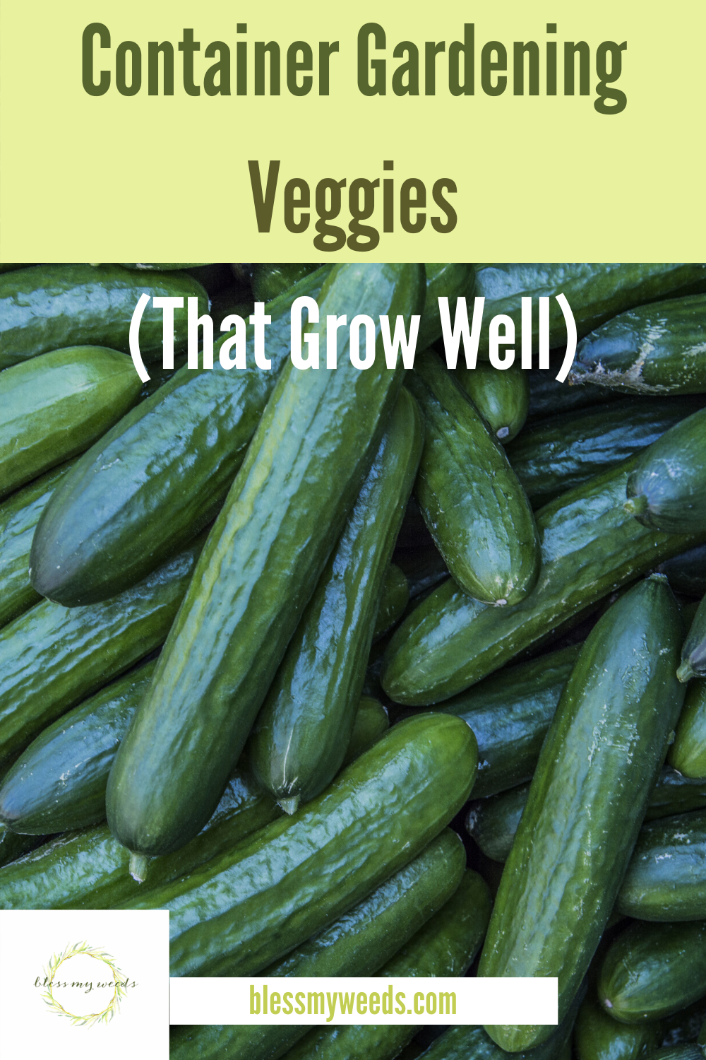 Show off your green thumb with any of these 15 veggies for container gardening. These all thrive in containers and are guaranteed to provide fresh veggies all season. Read on for more info. #freshveggies #gardeningtips #containergardeningveggies #blessmyweedsblog