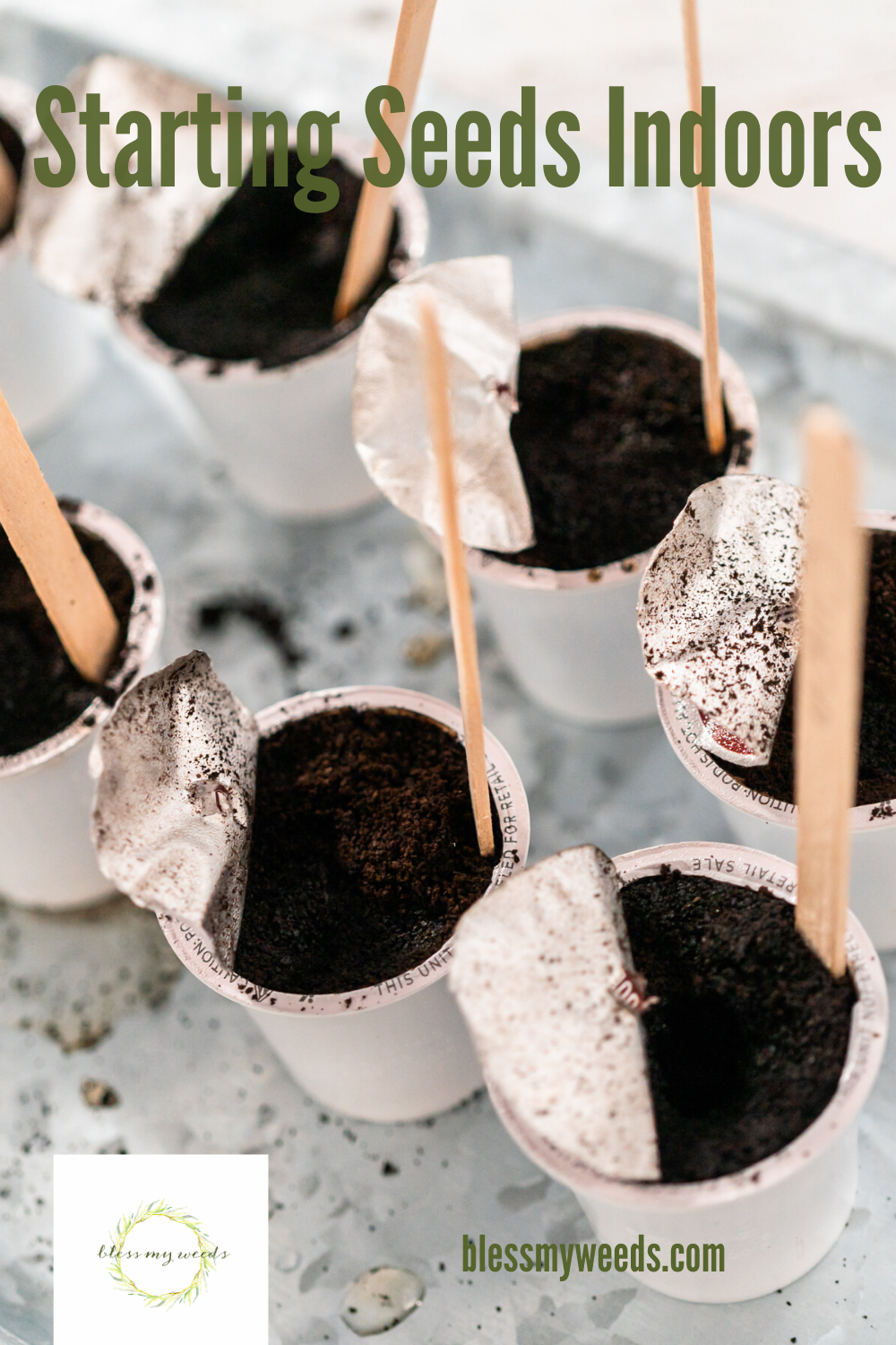 Get a jump on the season by starting your seeds indoors. No worries about frost and its so easy to tend them. These 7 hacks for starting seeds indoors will give you all the reasons you need to give it a try. It's so easy. Read this post to learn more. #startingseeds #indoorgardening #blessmyweedsblog