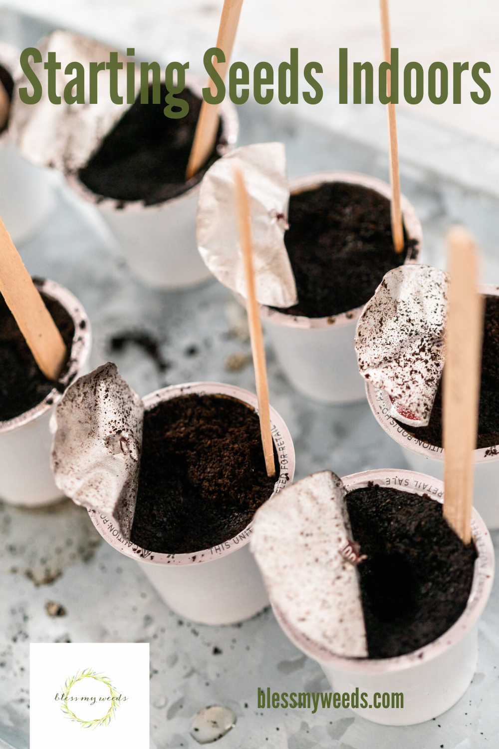 Starting Seeds Indoors Hacks, DIY, Containers, Tips, Eggshells