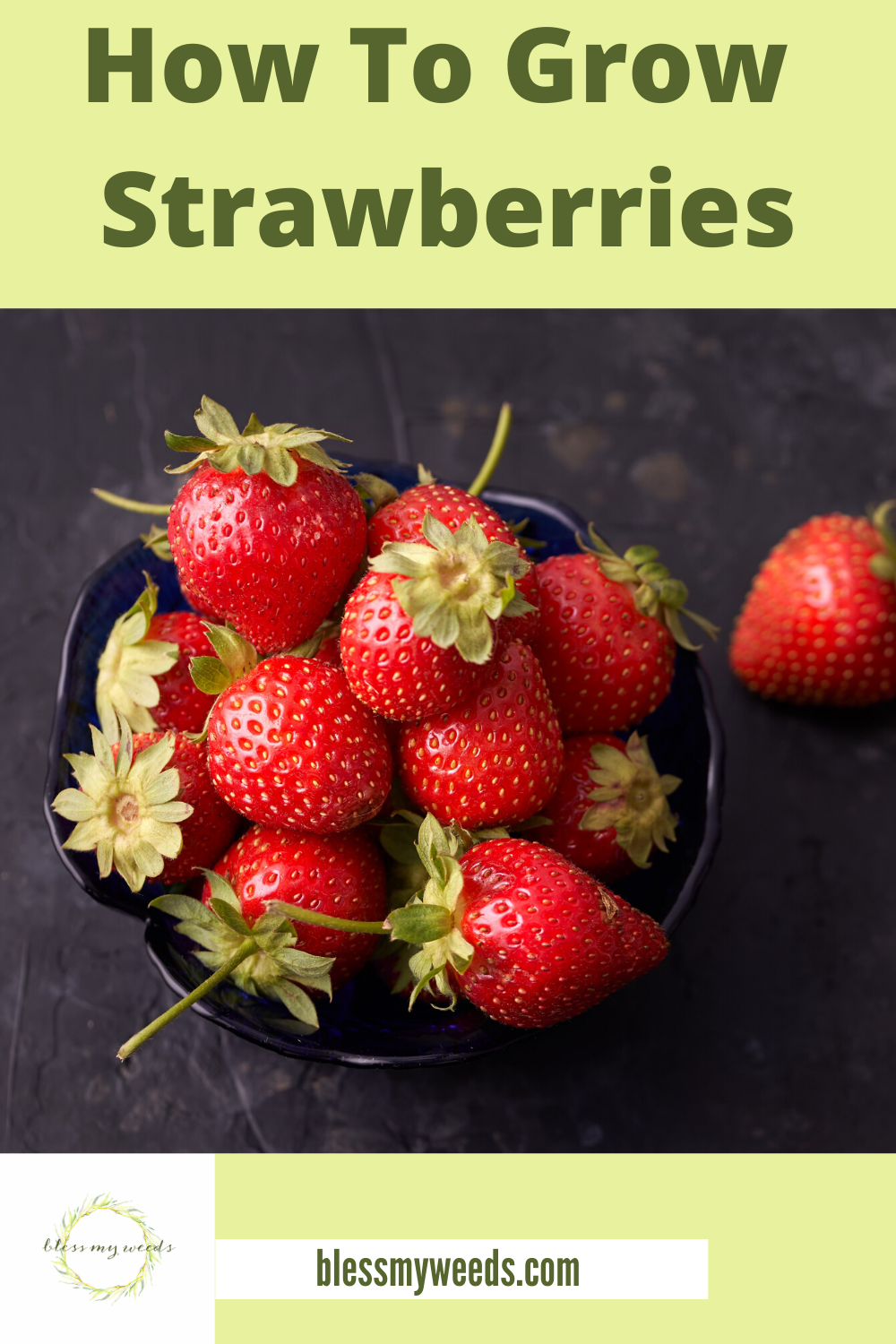 You don't have to have a big space for a garden to grow strawberries. If you have containers or pots, you can grow them. Keep reading for more tips about how to grow sensational strawberries. YUM! #gardeningtips #fruitgardening #strawberries #blessmyweedsblog