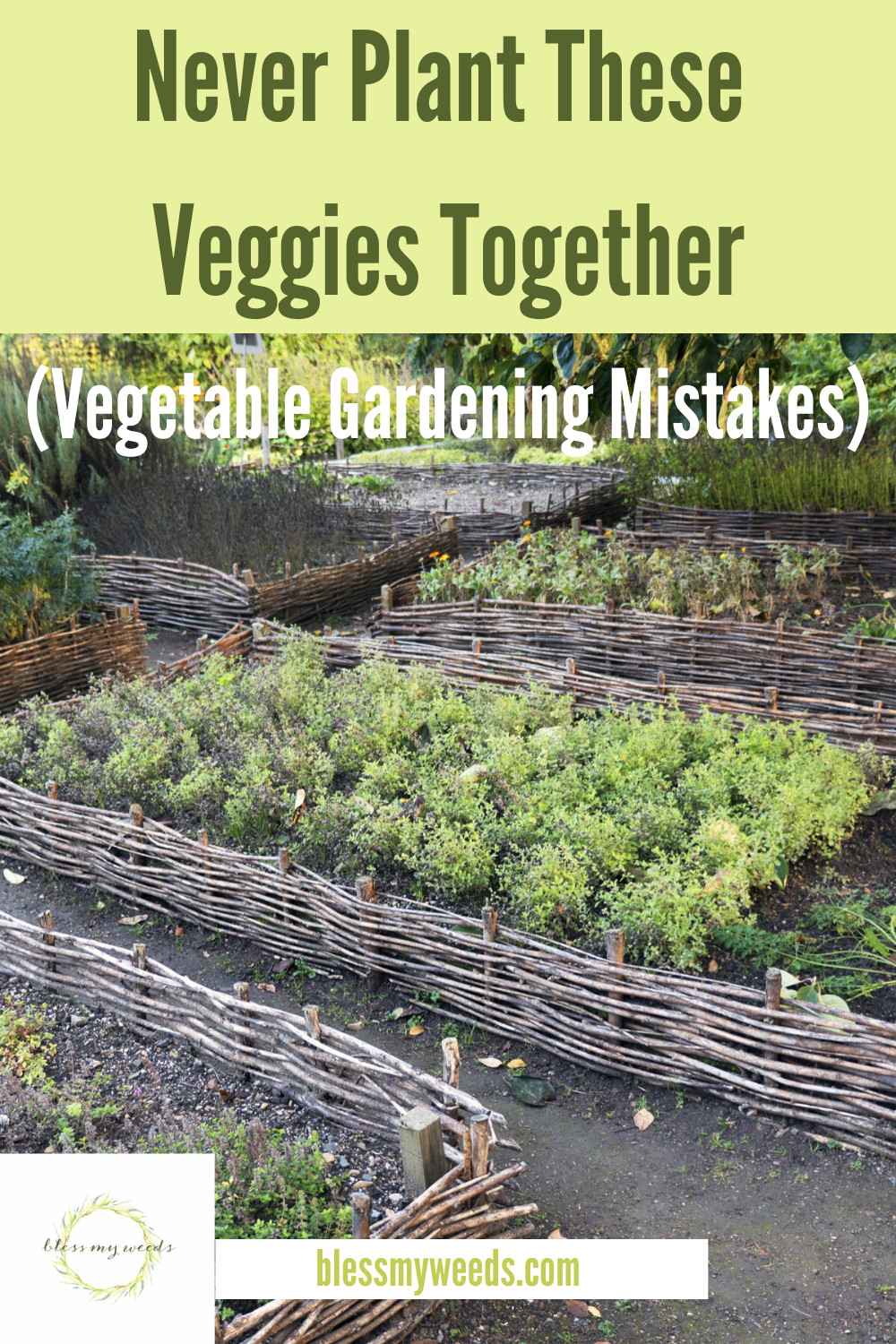 Veggies are veggies, right? Well, when it comes to where you plant them, some veggies are not the same. Discover which veggies do better when planted away from certain other veggies. And make the most of your gardening experience! #ideasforgrowingvegetables #ideasforgrowingveggies