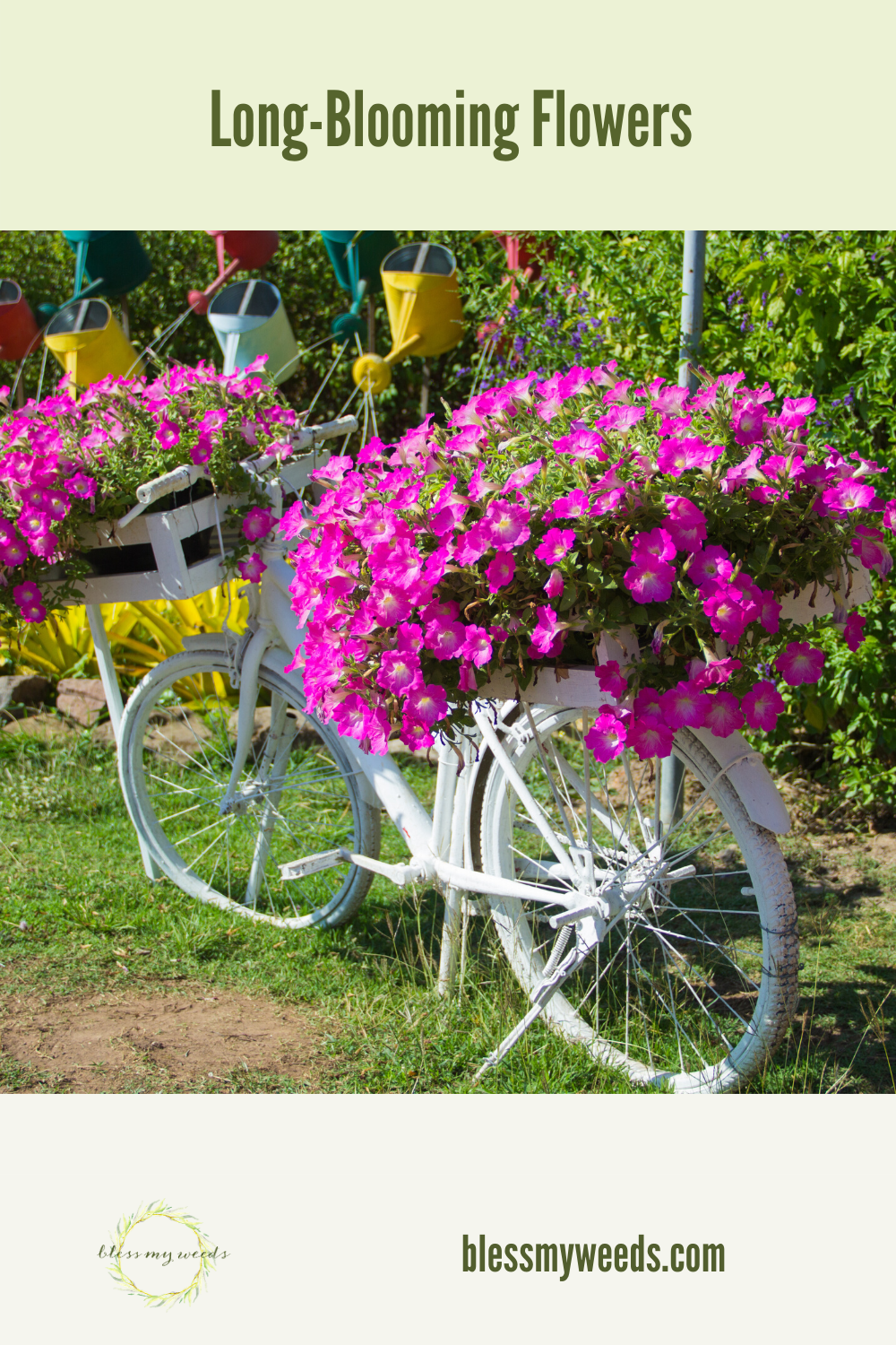 Flowers just make me happy. Especially ones that bloom for a long time. If you want drop dead blooms and color all summer, these are the flowers you need. Read on to learn which ones they are. Happy gardening! #longbloomingflowers #summerflowers #flowergardening #blessmyweedsblog