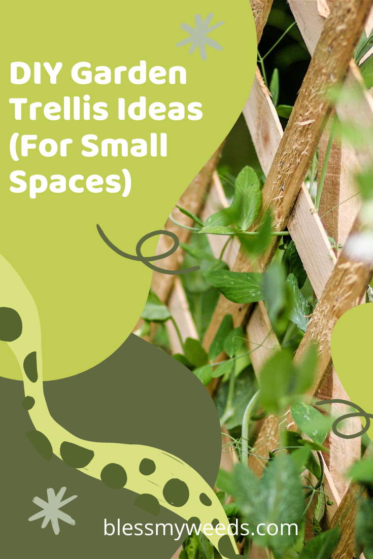 Small gardens are often my favorite. A quaint space of peace. If your garden is small, why not try adding a DIY Garden Trellis. Adding height by allowing vines and plants to grow makes a yard more spacious. Read the post for more ideas. #gardens #trellisideas #smallgardenideas #blessmyweedsblog