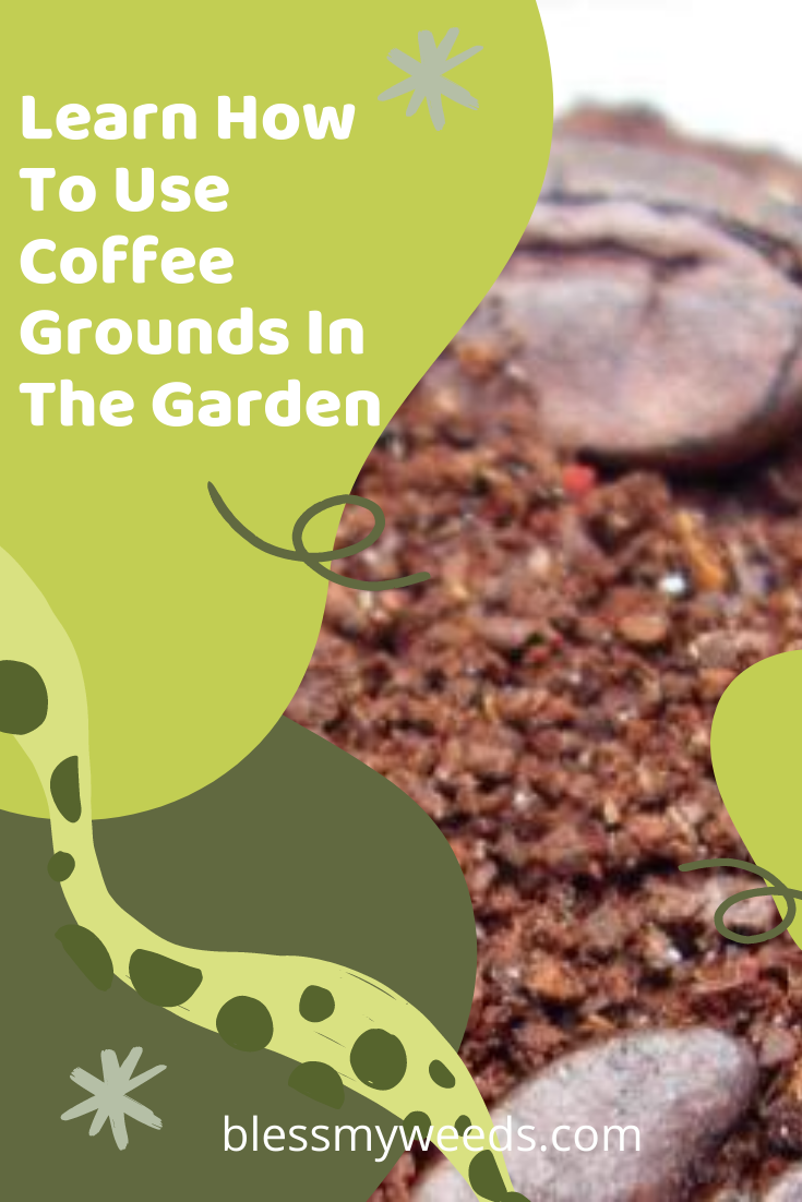 One coffee drinkers junk is another garden's treasure. Okay, maybe that's not exactly the quote, but you get the idea. Your garden could use those coffee grounds you are throwing out! Find out what, when and where.... #blessmyweedsblog #coffeegrounds #gardentips #composter