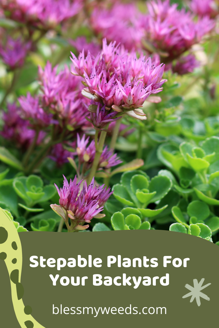 steppable ground cover