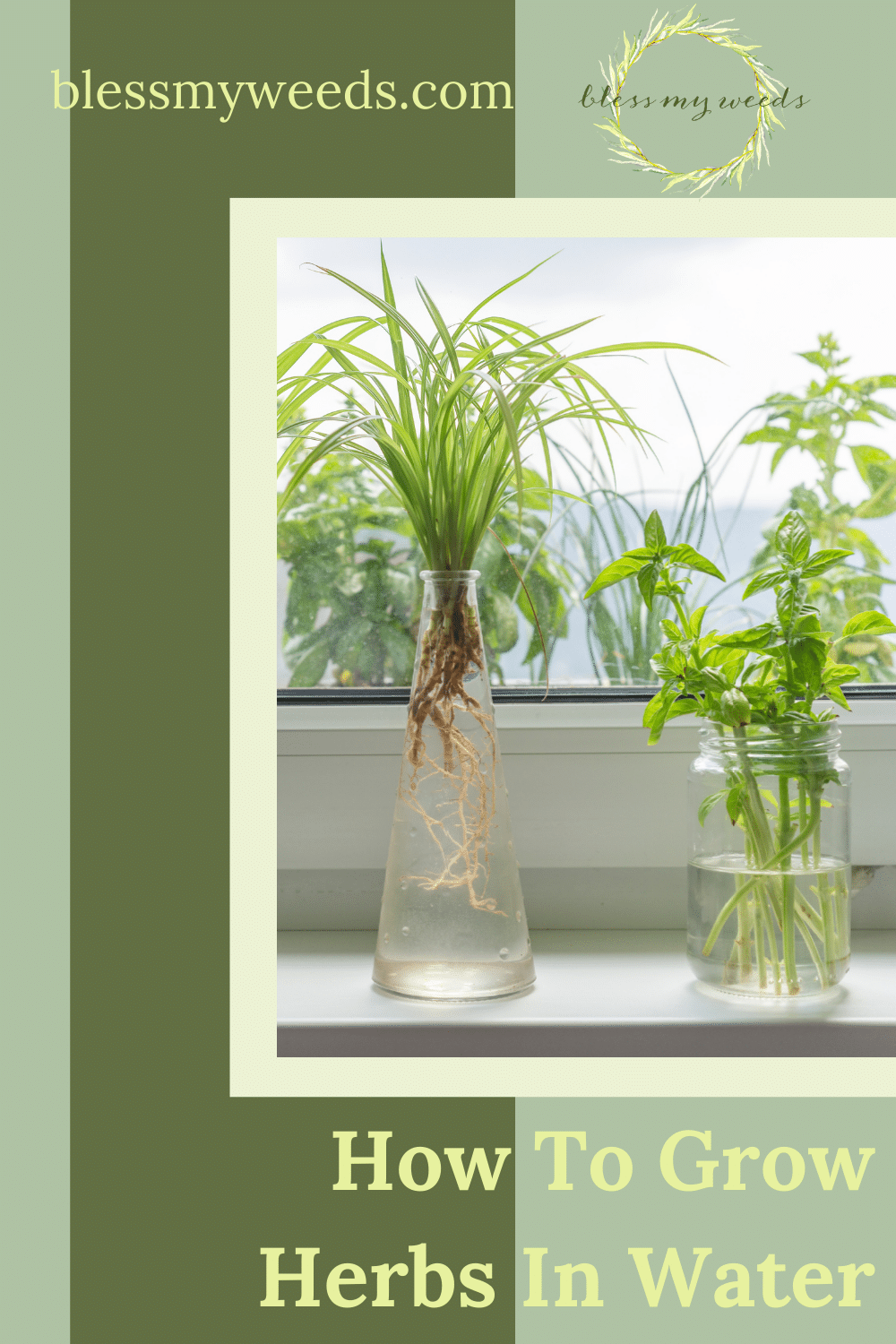 Herbs That Grow In Water Indoor Gardening Blessmyweeds