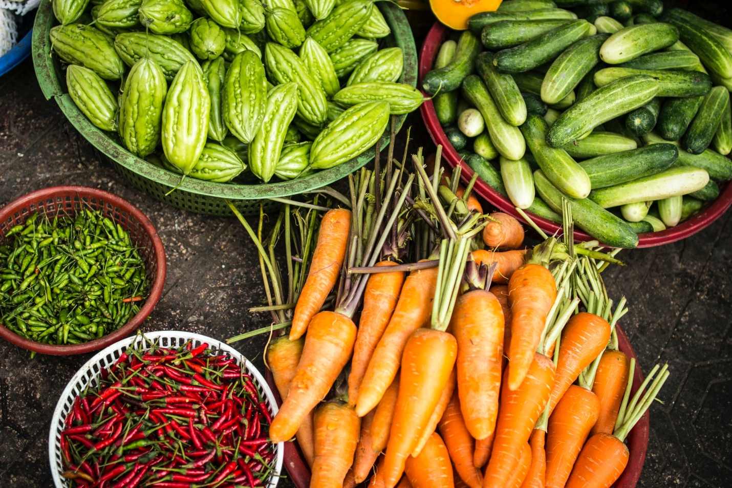 Making use of the limited space with climbing vegetables