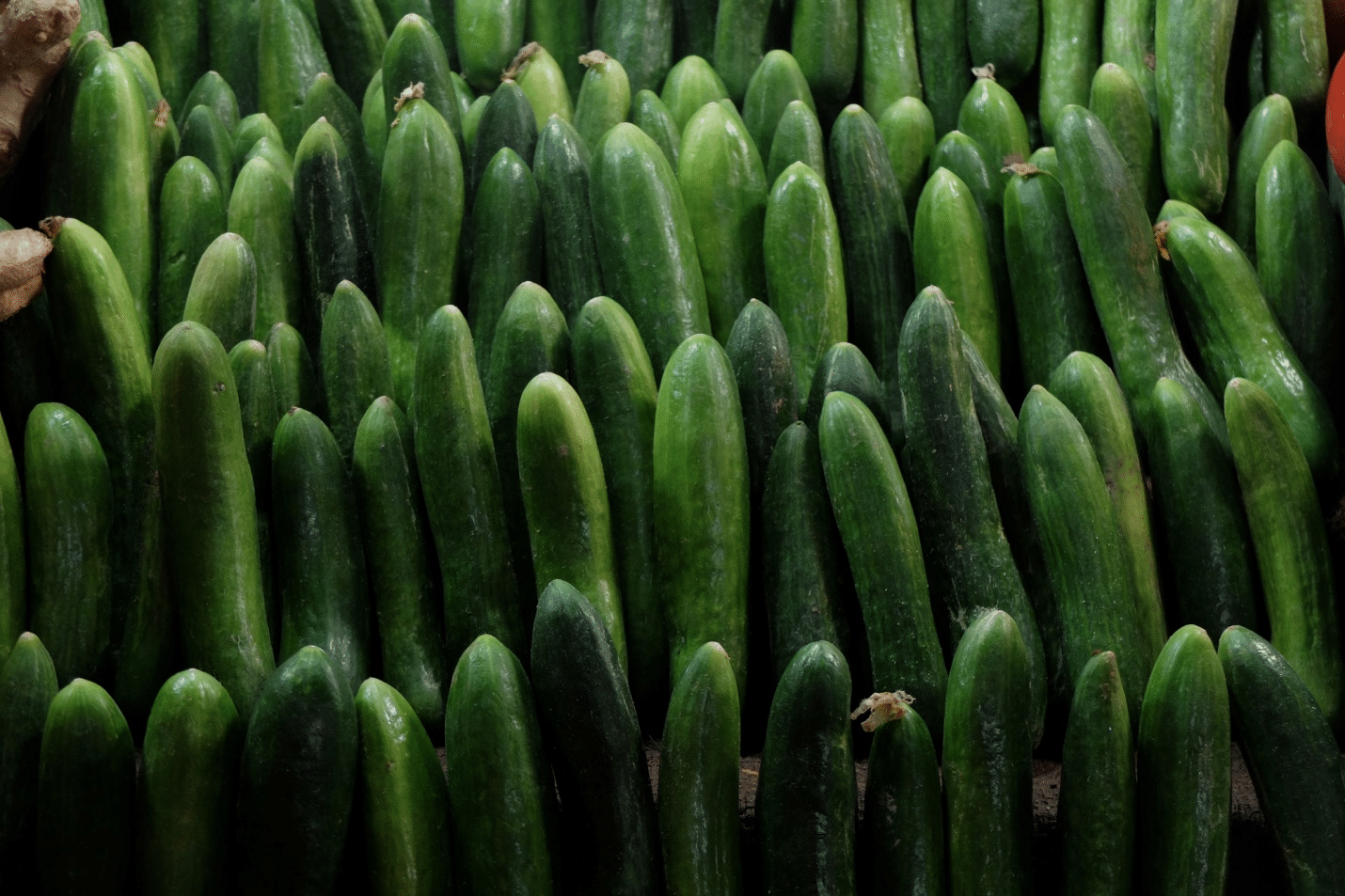 Grow climbing vegetables in a closed setting