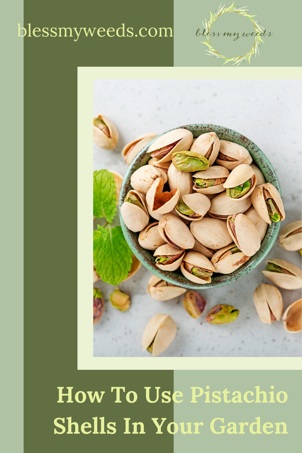 11 interesting ways to use pistachios in your cooking Trees meals punch  Kernels Shell