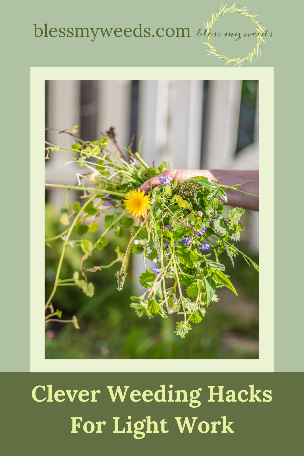 Blessmyweeds.com makes keeping healthy plants easy for anyone! Learn what to grow and how to care for it. Find the best hacks for keeping unwanted weeds out of your garden now!